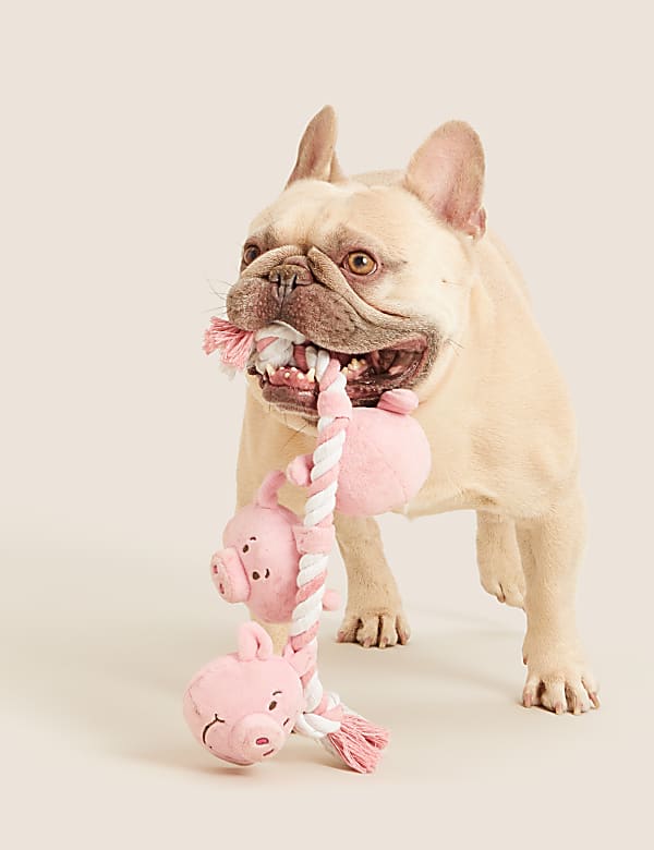 Percy Pig™ Rope Pet Toy - BG