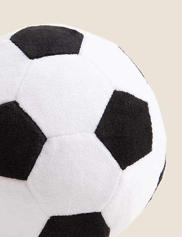 Fu&szlig;ball als Haustierspielzeug - AT