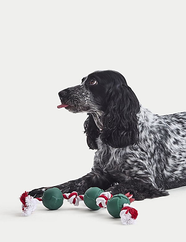 Sprouts Pet Toy - BG