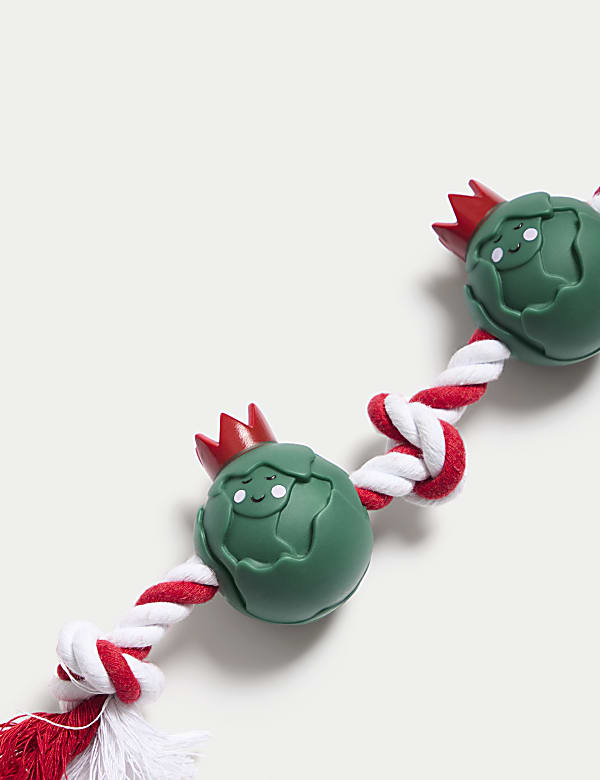 Jouet pour animal en forme de choux - CH