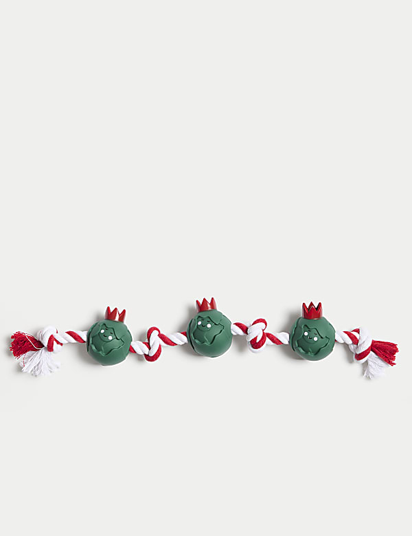 Jouet pour animal en forme de choux - CH