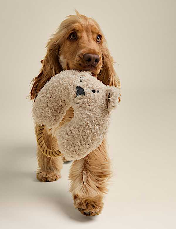 Spencer Bear™ Pull Dog Toy - SE