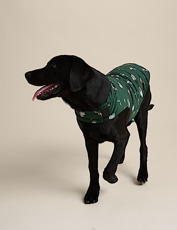 Spencer Bear&trade; Dog Jumper - GR