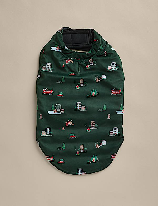 Spencer Bear&trade; Dog Jumper - GR