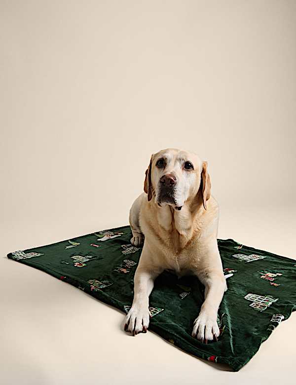 Spencer Bear&trade; Pet Blanket - GR