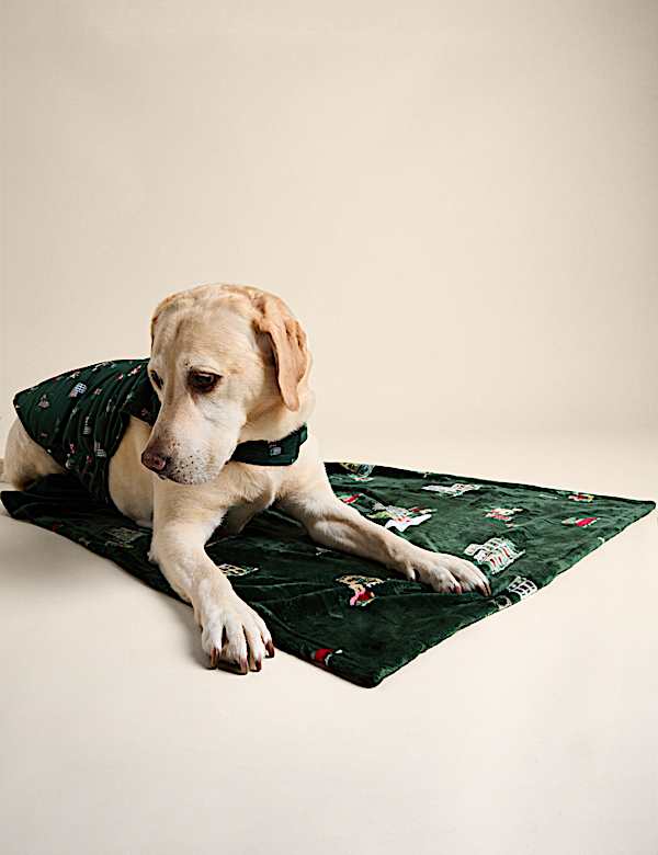 Spencer Bear&trade; Pet Blanket - GR