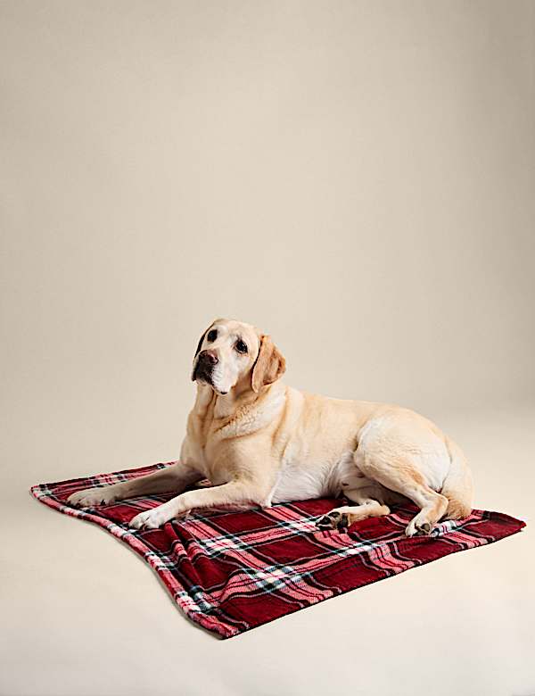 Check Blanket for Pets - GR