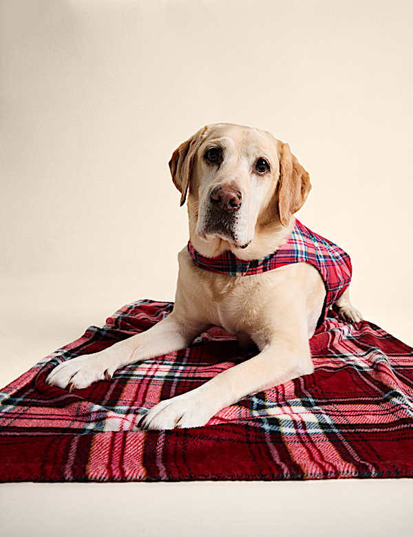 Check Blanket for Pets - GR
