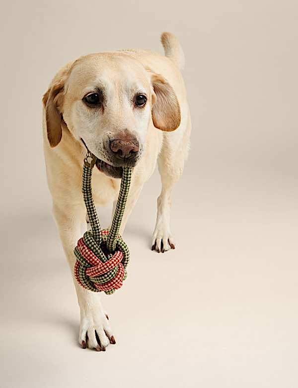 Rope Ball Pet Toy - BE