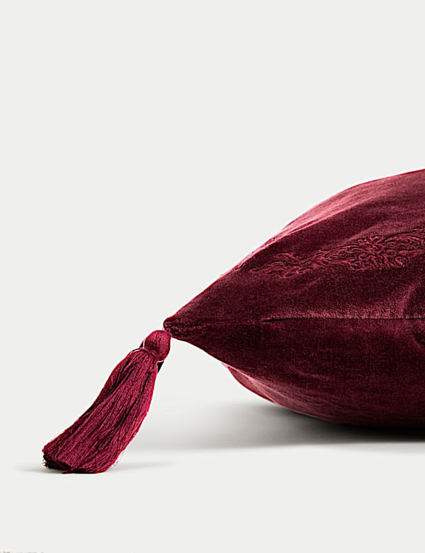 Velvet Tasselled Cushion - CY