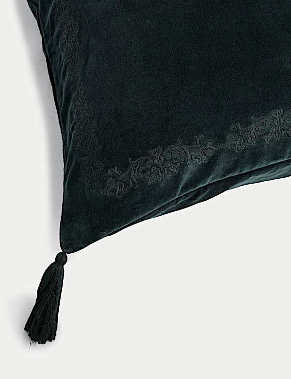 Velvet Tasselled Cushion - AT
