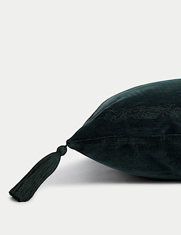 Velvet Tasselled Cushion - AT