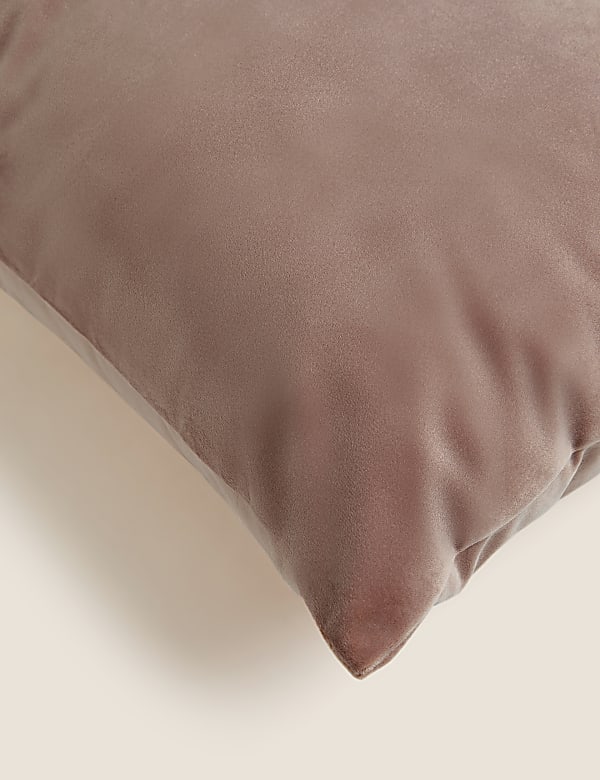 Velvet Cushion