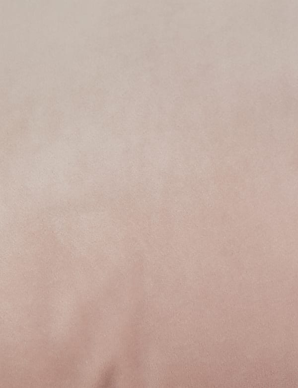 Velvet Cushion