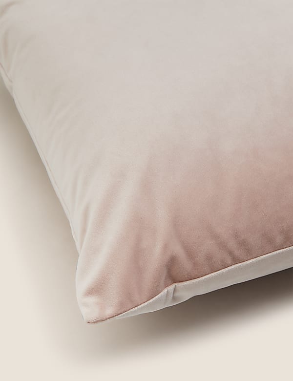 Velvet Cushion