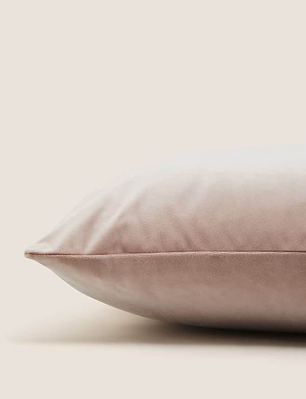 Velvet Cushion