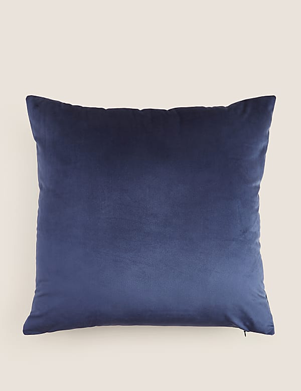 Velvet Cushion