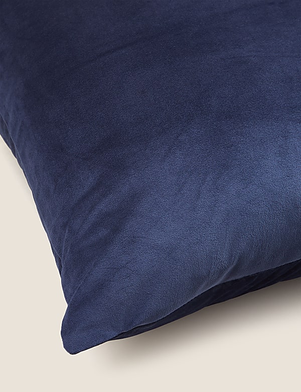Velvet Cushion