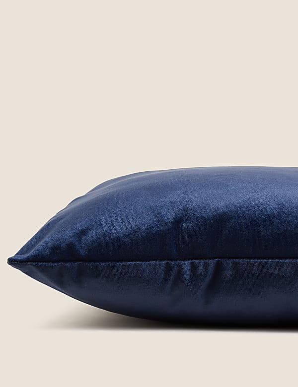 Velvet Cushion