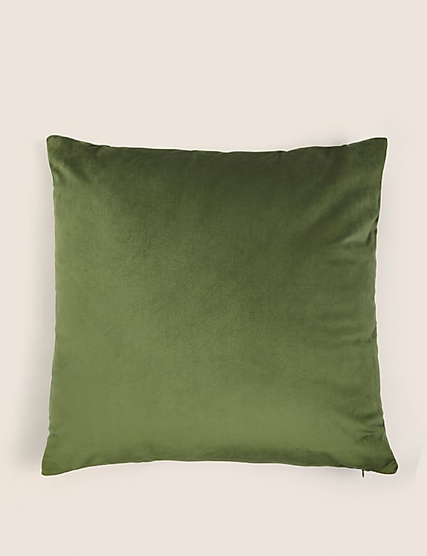 Velvet Cushion