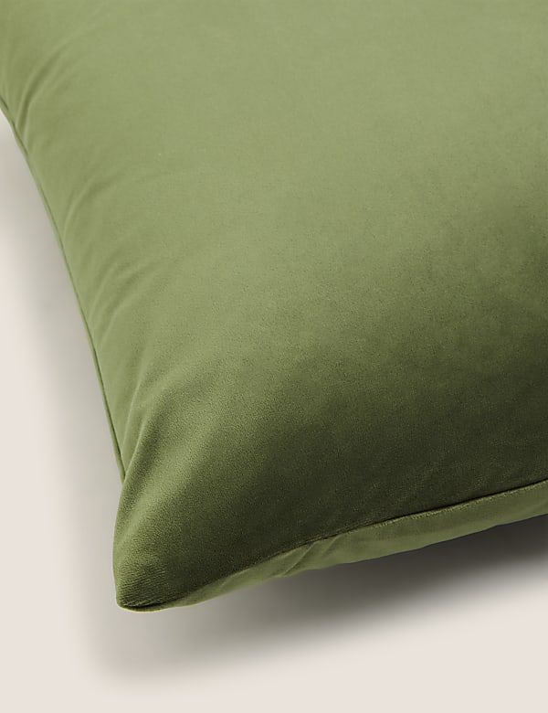 Velvet Cushion