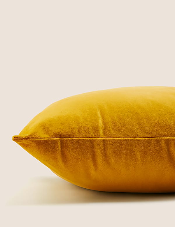 Velvet Cushion - NZ