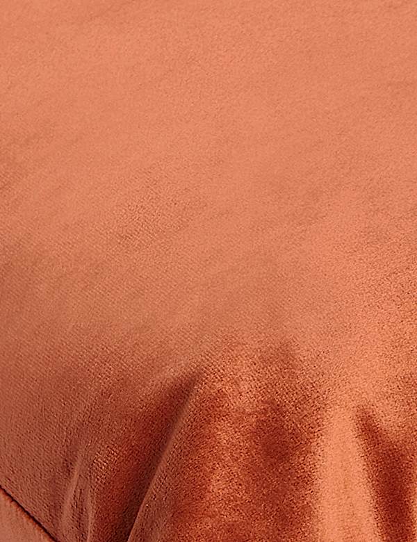Velvet Cushion