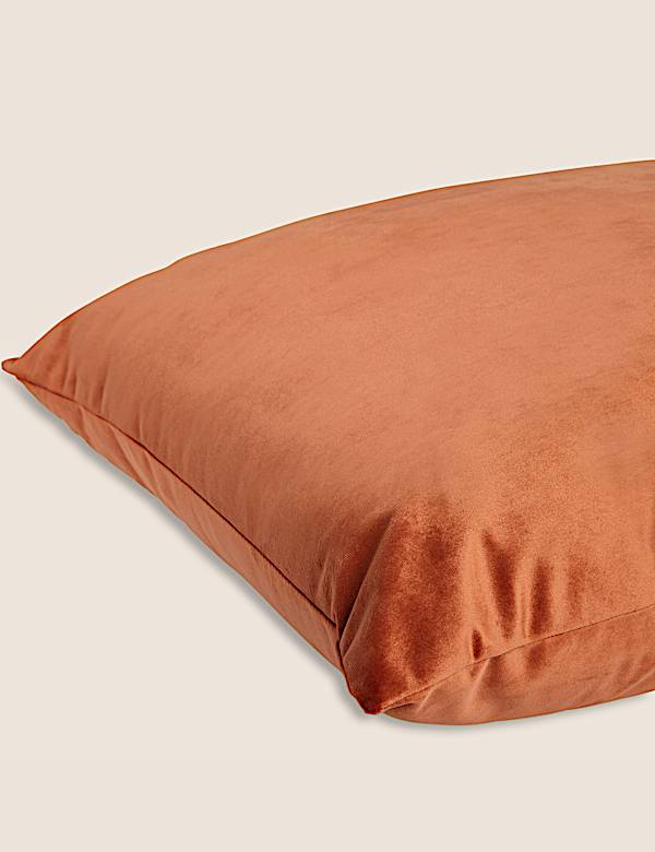 Velvet Cushion