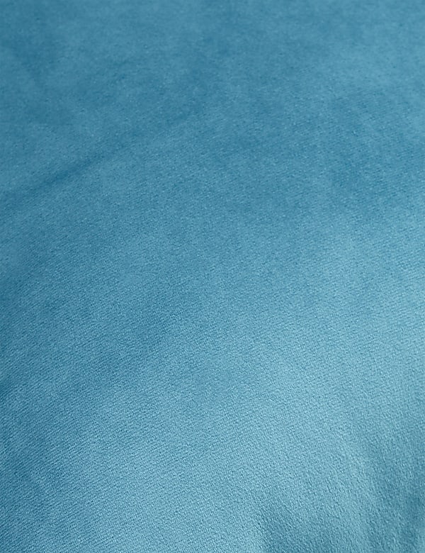 Velvet Cushion