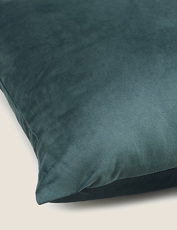 Velvet Cushion