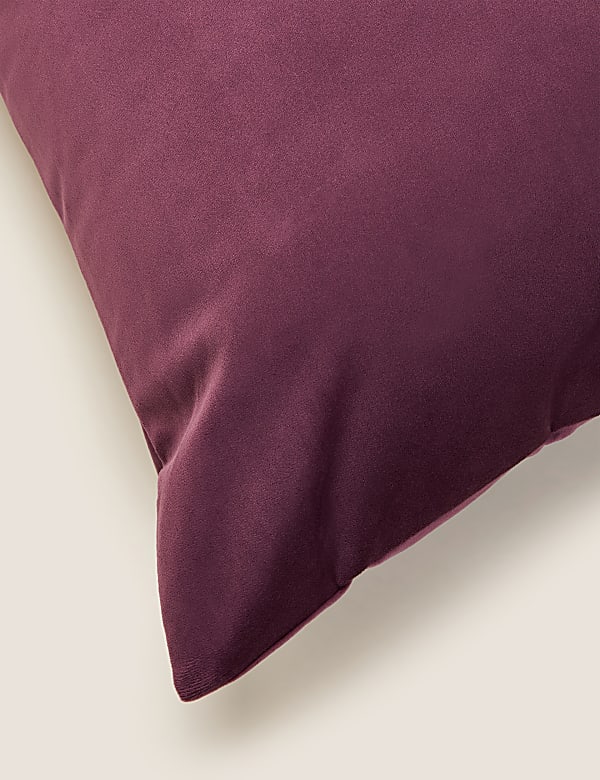Velvet Cushion