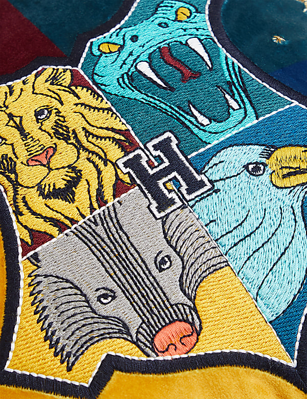 Velvet Harry Potter™ Light Up Cushion