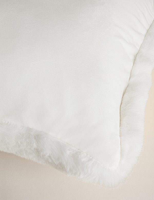 Faux Fur Cushion - FR