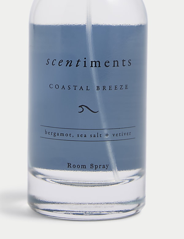 Σπρέι χώρου Coastal Breeze - GR