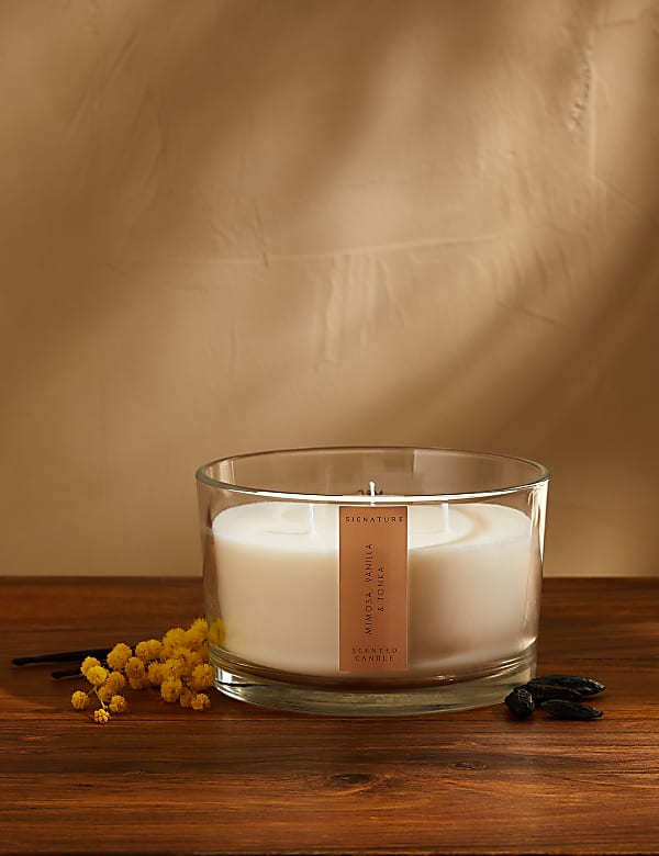 Mimosa, Vanilla & Tonka 3 Wick Candle - GR