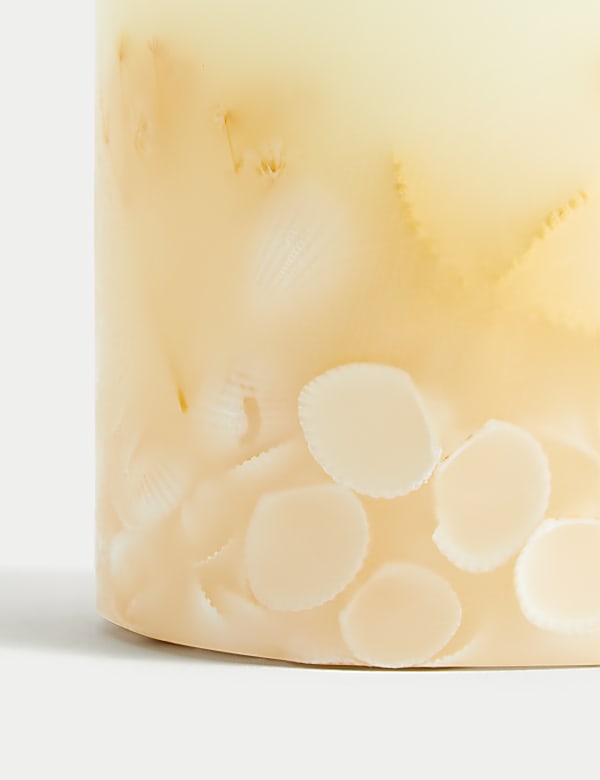 Seashells Scented Candle - CA