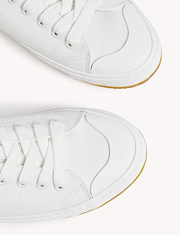 Canvas Lace Up Stripe Trainers - FI