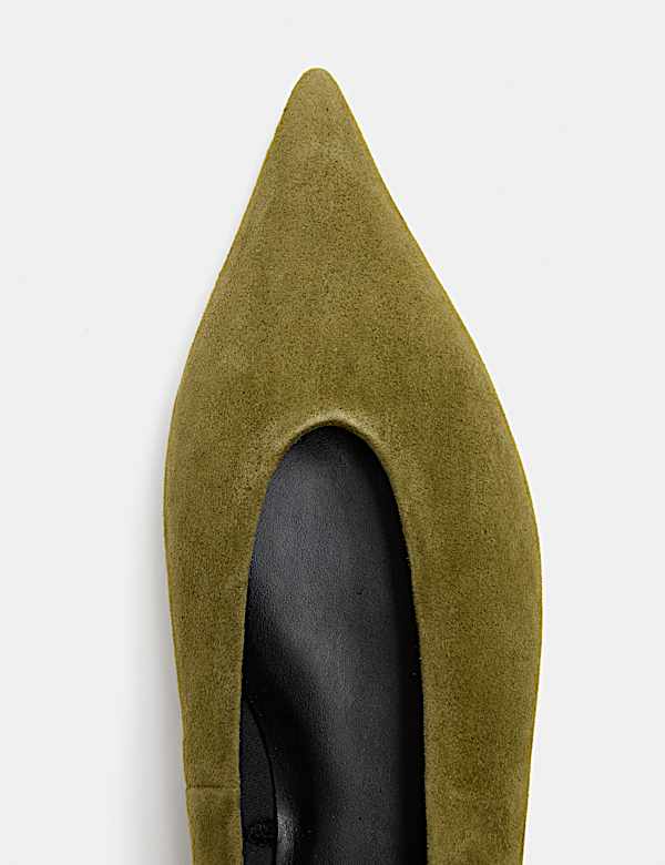 Suede Pointed Toe Ballet Pump - CA