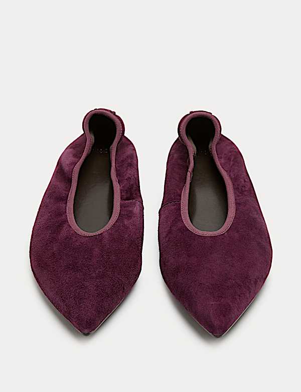 Suede Flat Pointed Toe Ballet Pumps - CZ