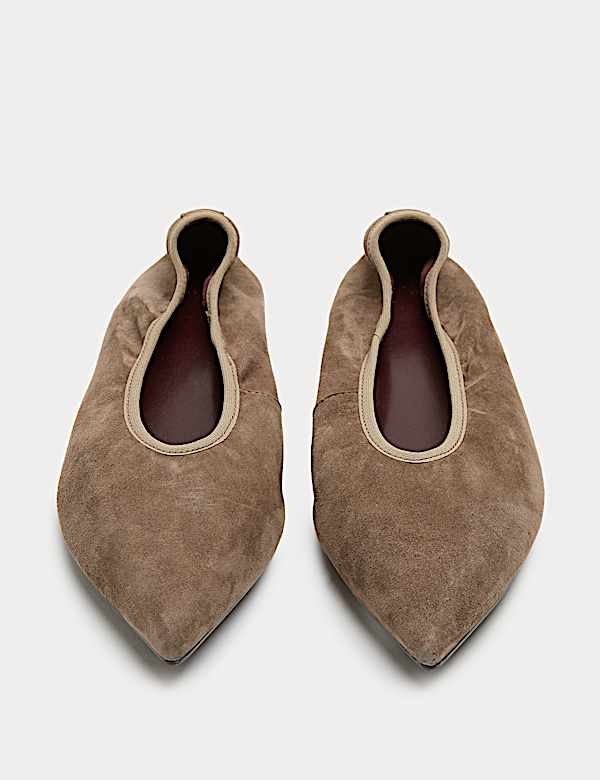 Suede Flat Pointed Toe Ballet Pumps - BN