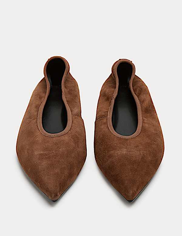 Suede Flat Pointed Toe Ballet Pumps - GR