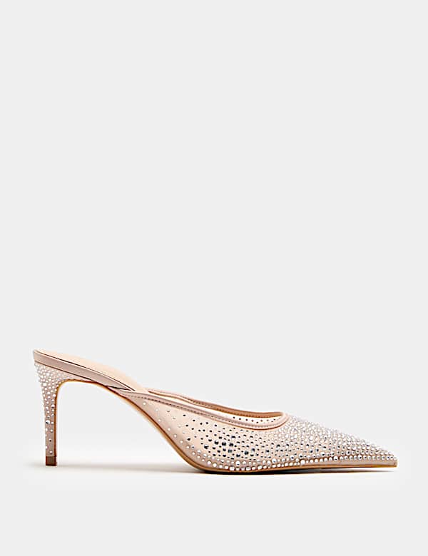 Embellished Stiletto Heel Pointed Toe Mule - AU