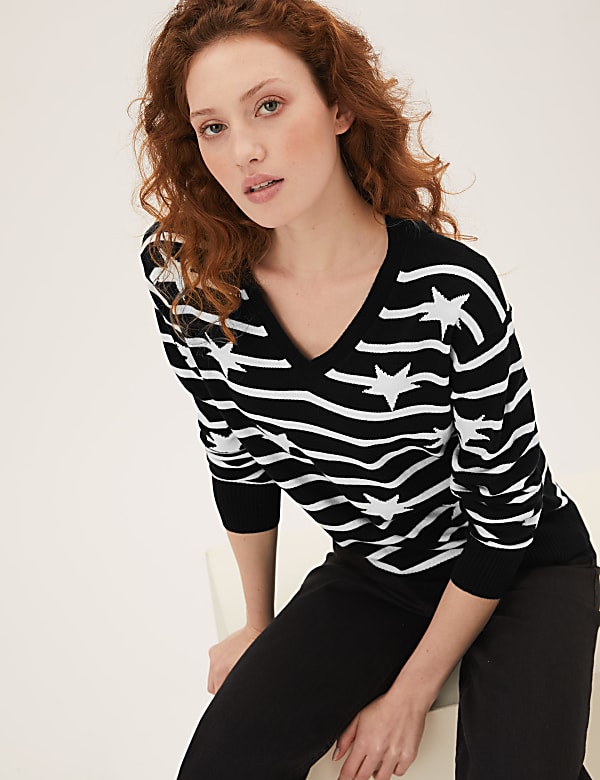 Supersoft Striped Star V-Neck Jumper