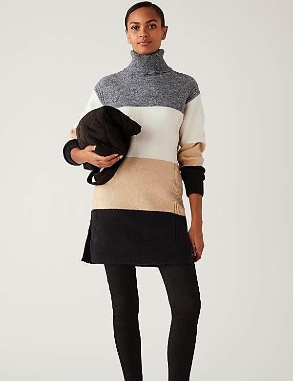 Striped Roll Neck Longline Jumper