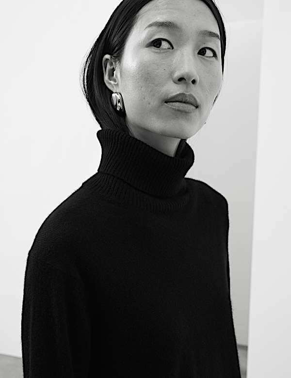 Pull 100 % cachemire à col roulé - FR