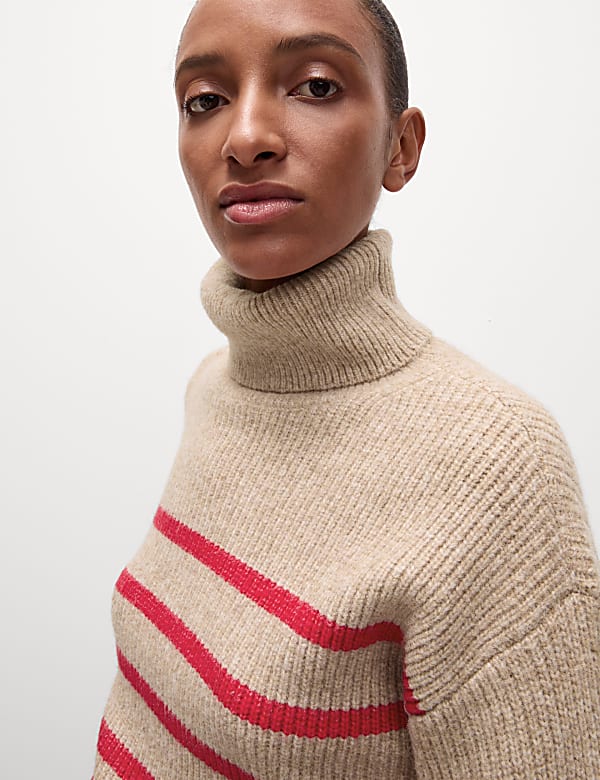Striped Roll Neck Jumper
