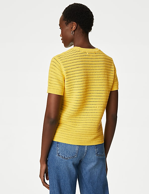 Cotton Rich Crew Neck Textured Knitted Top