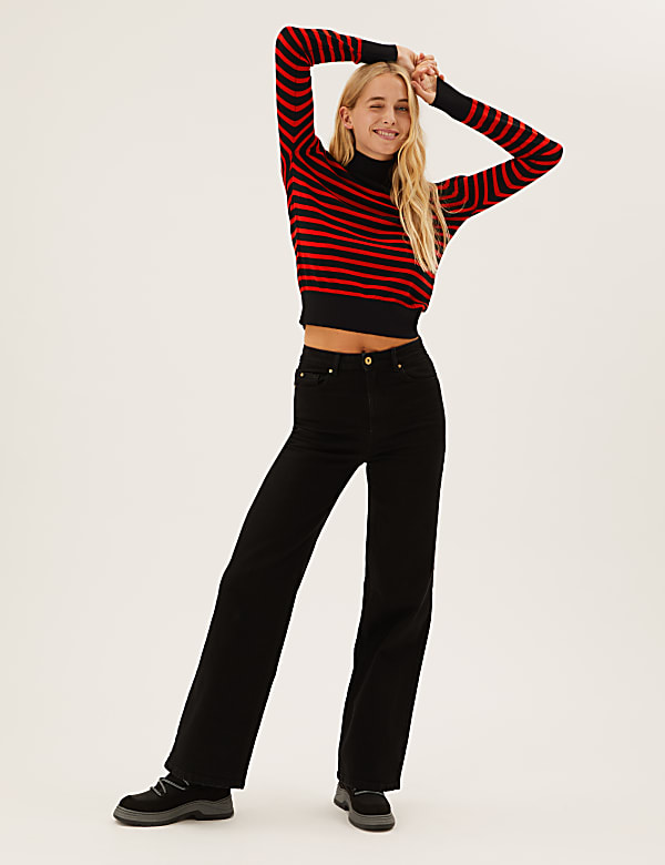 Pure Merino Wool Striped Roll Neck Jumper