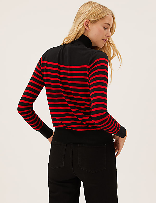 Pure Merino Wool Striped Roll Neck Jumper