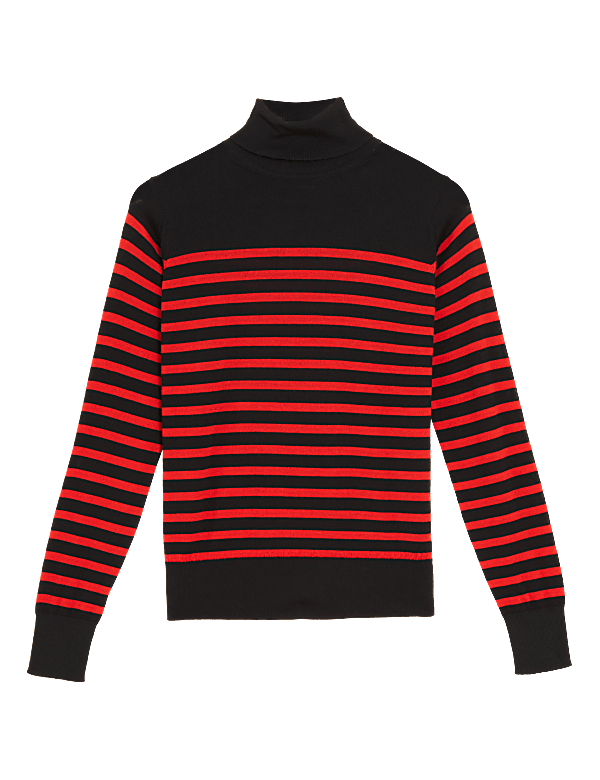 Pure Merino Wool Striped Roll Neck Jumper